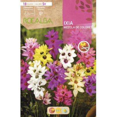 S.BOLBO SAQUETA IXIAS MISTURA CORES  -EBVV6605