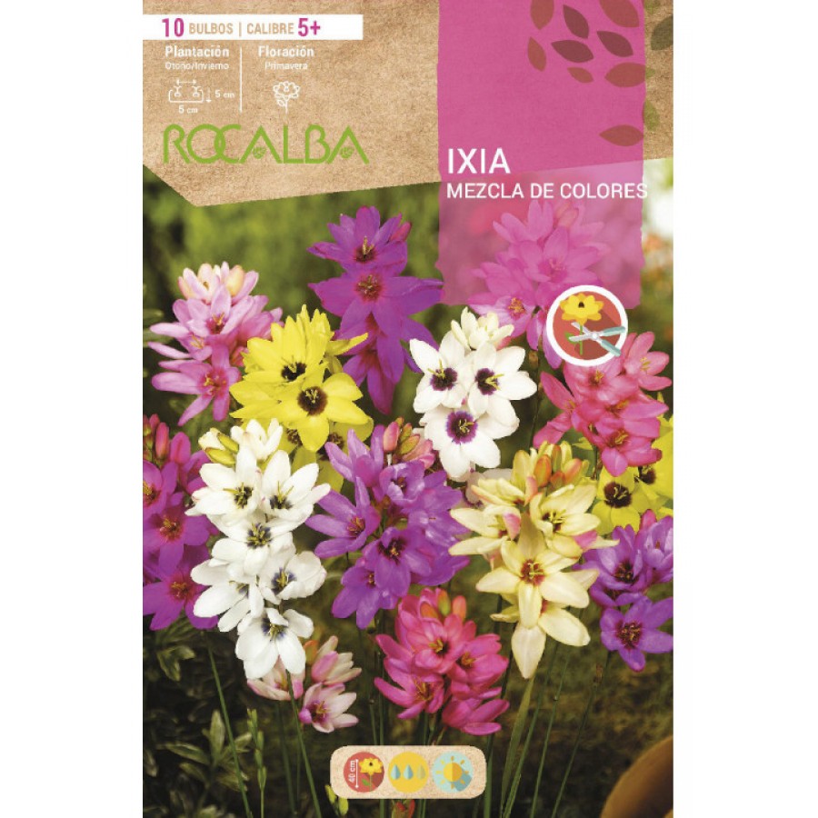 S.BOLBO SAQUETA IXIAS MISTURA CORES  -EBVV6605