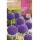 S.BOLBO SAQUETA ALLIUM GIGANTEUM VIOLETA  -EBVV6630