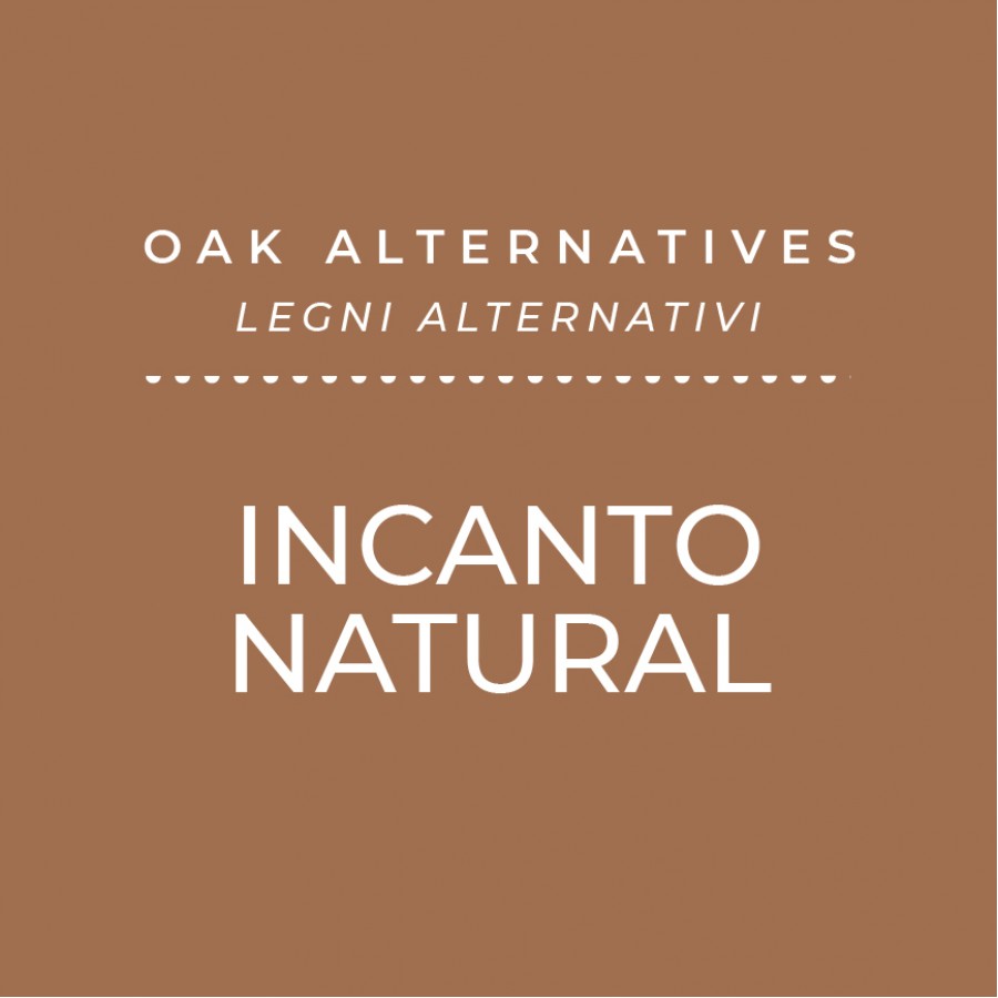 INCANTO ENARTIS CHIPS NATURAL - 10 KG INCANTO ENARTIS CHIPS NATURAL - 10 KG