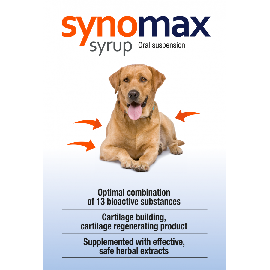 SYNOMAX CAES XAROPE condroprotector - 275ML SYNOMAX CAES XAROPE condroprotector - 275ML