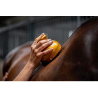 EQUINOX WACKARO DOURADO - massagens para cavalos