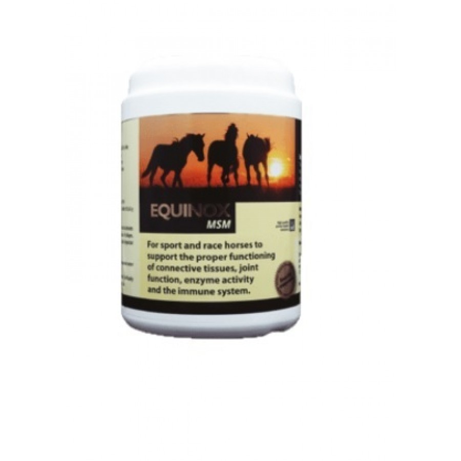 EQUINOX MSM - 1KG EQUINOX MSM - 1KG