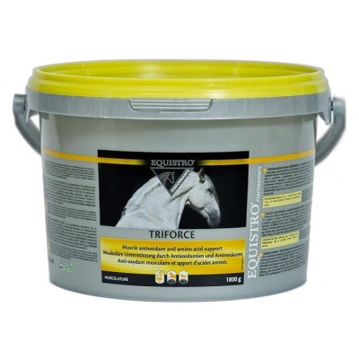 EQUISTRO TRIFORCE 1,8KG