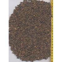 SEMENTE ERVILHACA FORRAGEIRA  - SC 25KG