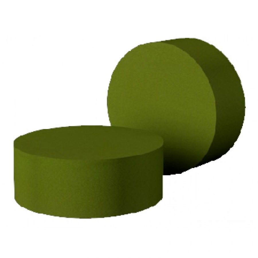 ESPONJA PARA FLORES REDONDA 17 X 7.4 ESPONJA PARA FLORES REDONDA 17 X 7.4