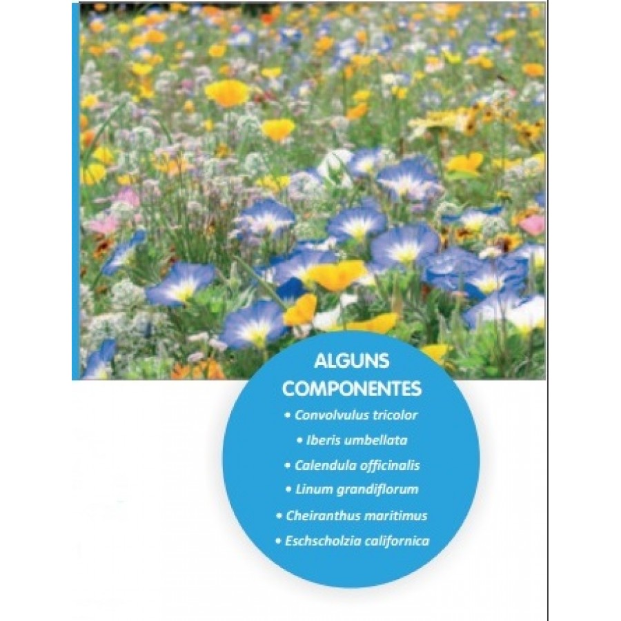 SEMENTE DE MISTURA FLORES FORMULA COBERTURA SOLO CONTRASTE - 1 KG SEMENTE DE MISTURA FLORES FORMULA COBERTURA SOLO CONTRASTE - 1 KG