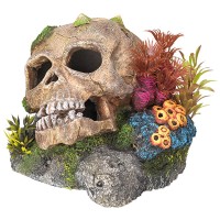DECORAÇÃO PARA AQUÁRIO - CAVEIRA COM CORAIS