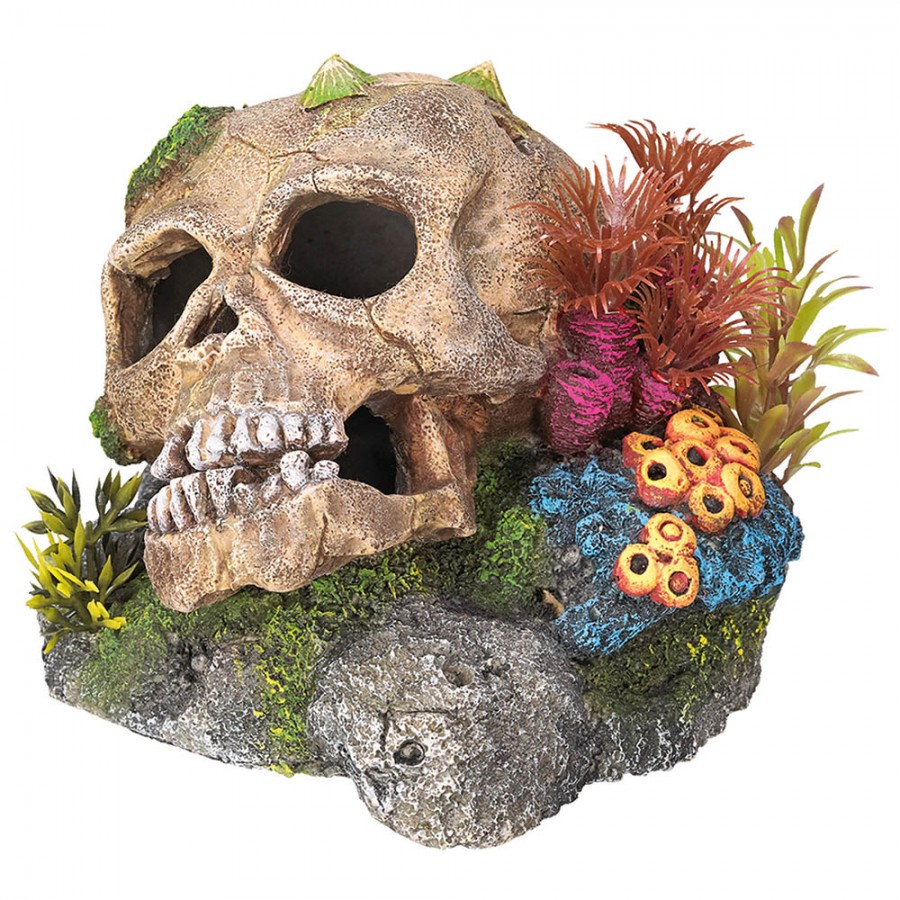 DECORAÇÃO PARA AQUÁRIO - CAVEIRA COM CORAIS