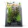 DECORAÇÃO PARA AQUÁRIO - PLANTAS ARTIFICIAIS PARA AQUÁRIO- ROTALIA (S)