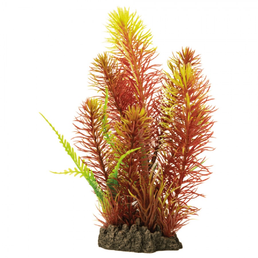 DECORAÇÃO PARA AQUÁRIO - PLANTAS ARTIFICIAIS PARA AQUÁRIO - MYRIOPHYLLUM RED DECORAÇÃO PARA AQUÁRIO - PLANTAS ARTIFICIAIS PARA AQUÁRIO - MYRIOPHYLLUM RED