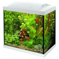 SUPERFISH - AQUÁRIO START (BRANCO) 50L