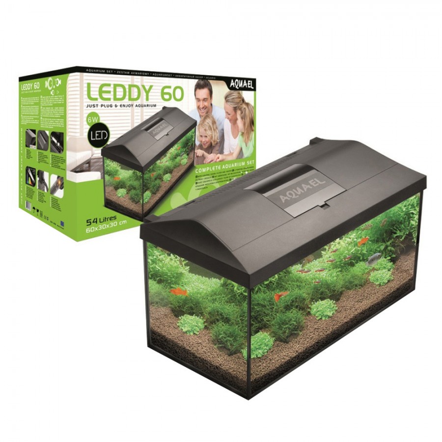 AQUÁRIO - LEDDY KIT (60 x 30 x 30CM) AQUÁRIO - LEDDY KIT (60 x 30 x 30CM)