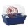 GAIOLA HAMSTER MINI PLASTIFICADA