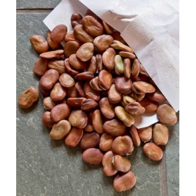 S.FAVAS ALGARVE GRANEL - KILO