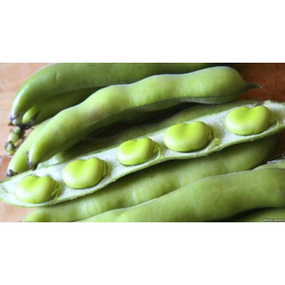 S.FAVA SUPER AGUADULCE         -GRANEL