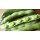 S.FAVA SUPER AGUADULCE         -GRANEL