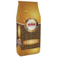 FAVA - 25KG FAVA - 25KG