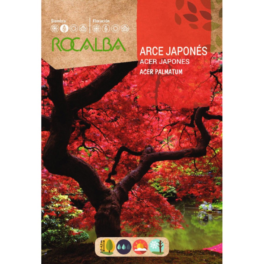 S.BORDO JAPONES ROCALBA S.BORDO JAPONES ROCALBA