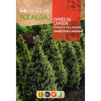 S.CIPRESTE DE LAWSON ROCALBA S.CIPRESTE DE LAWSON ROCALBA