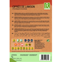 S.CIPRESTE DE LAWSON ROCALBA S.CIPRESTE DE LAWSON ROCALBA