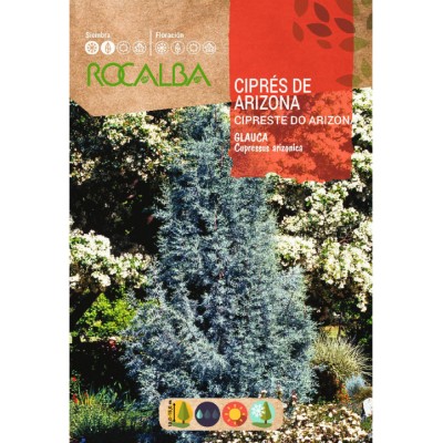 S.CIPRESTE ROCALBA DO ARIZONA