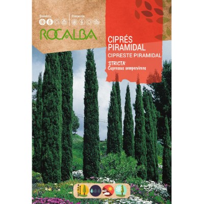 S.CIPRESTE ROCALBA PIRAMIDAL
