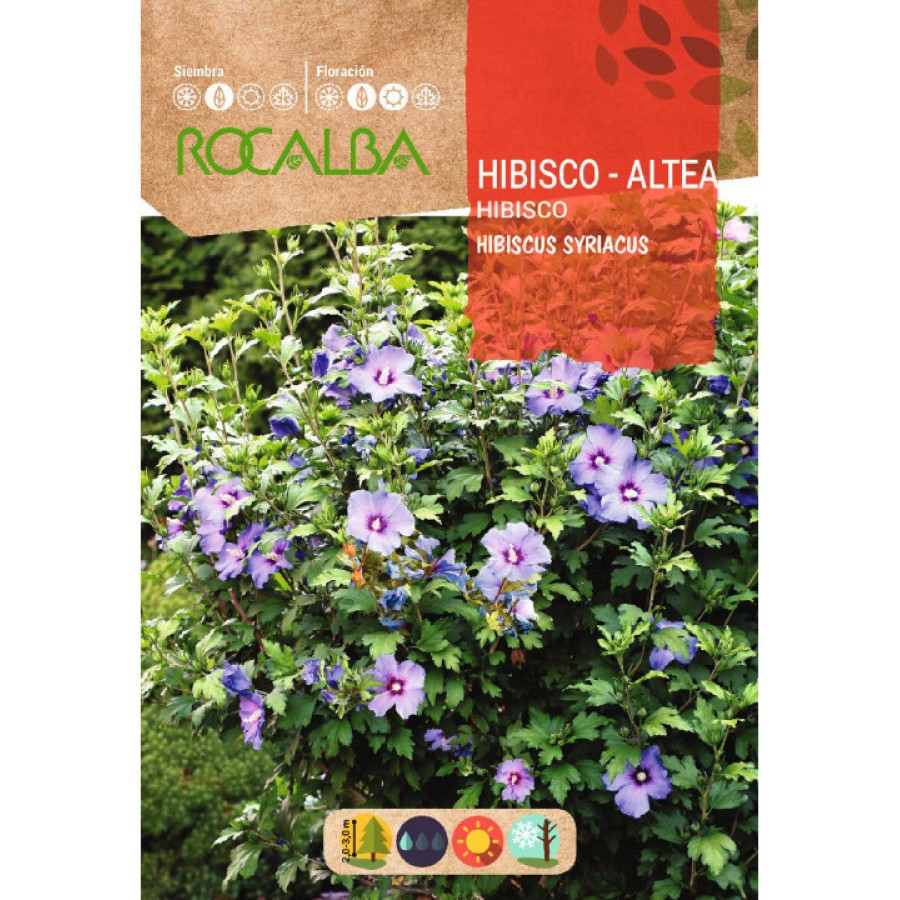S.ALTEIA ROSA DA SIRIA ROCALBA S.ALTEIA ROSA DA SIRIA ROCALBA