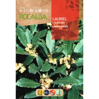 S.LOUREIRO ROCALBA S.LOUREIRO ROCALBA
