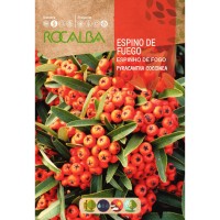 S.ESPINHO DE FOGO ROCALBA