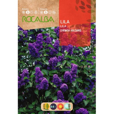 S.LILAS ROCALBA