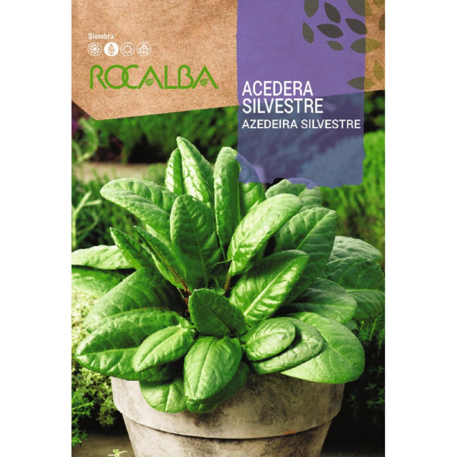 S.AZEDEIRA SILVESTRE ROCALBA AROMATICA S.AZEDEIRA SILVESTRE ROCALBA AROMATICA