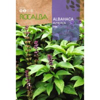 S.MANJERICÃO THAI Manjericão Thai (Manjericão Tailandês) – Erva Aromática Fresca S.MANJERICÃO THAI Manjericão Thai (Manjericão Tailandês) – Erva Aromática Fresca