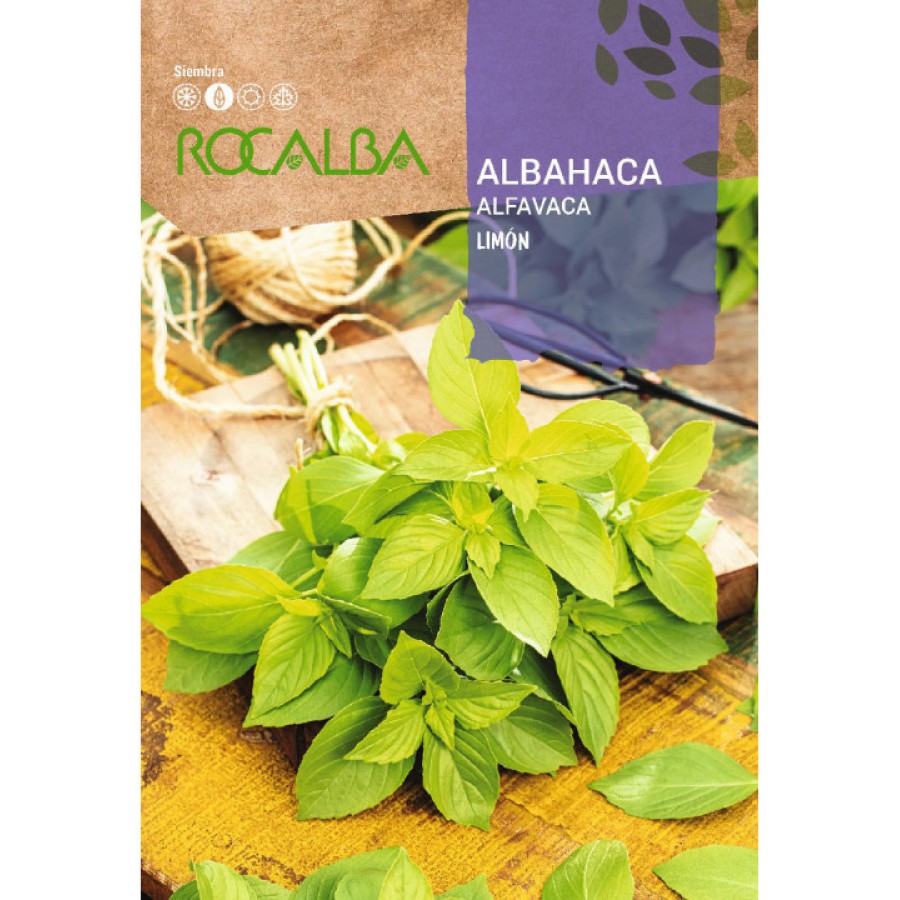 S.MANJERICÃO LIMÃO ROCALBA