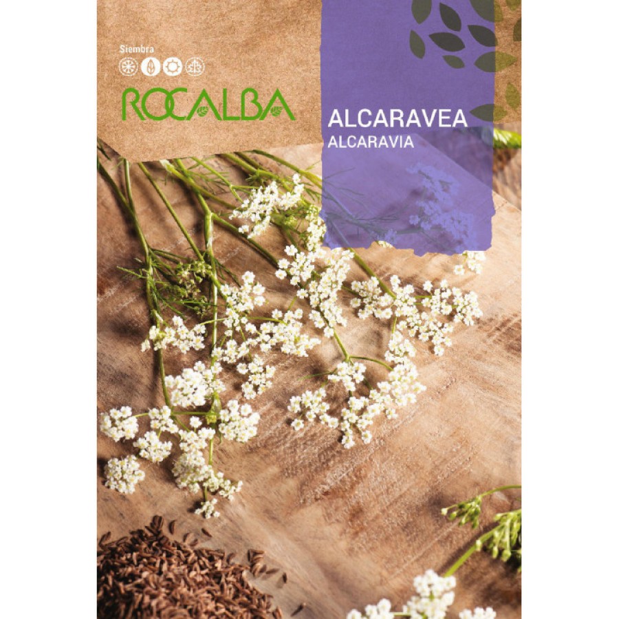 S.ALCARAVIA S.ALCARAVIA
