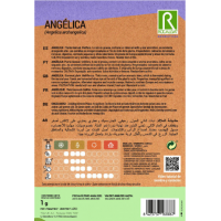 S.ANGELICA ROCALBA AROMATICA S.ANGELICA ROCALBA AROMATICA