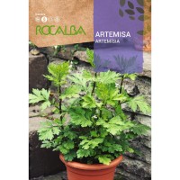 S.ARTEMISIA ROCALBA AROMATICA S.ARTEMISIA ROCALBA AROMATICA