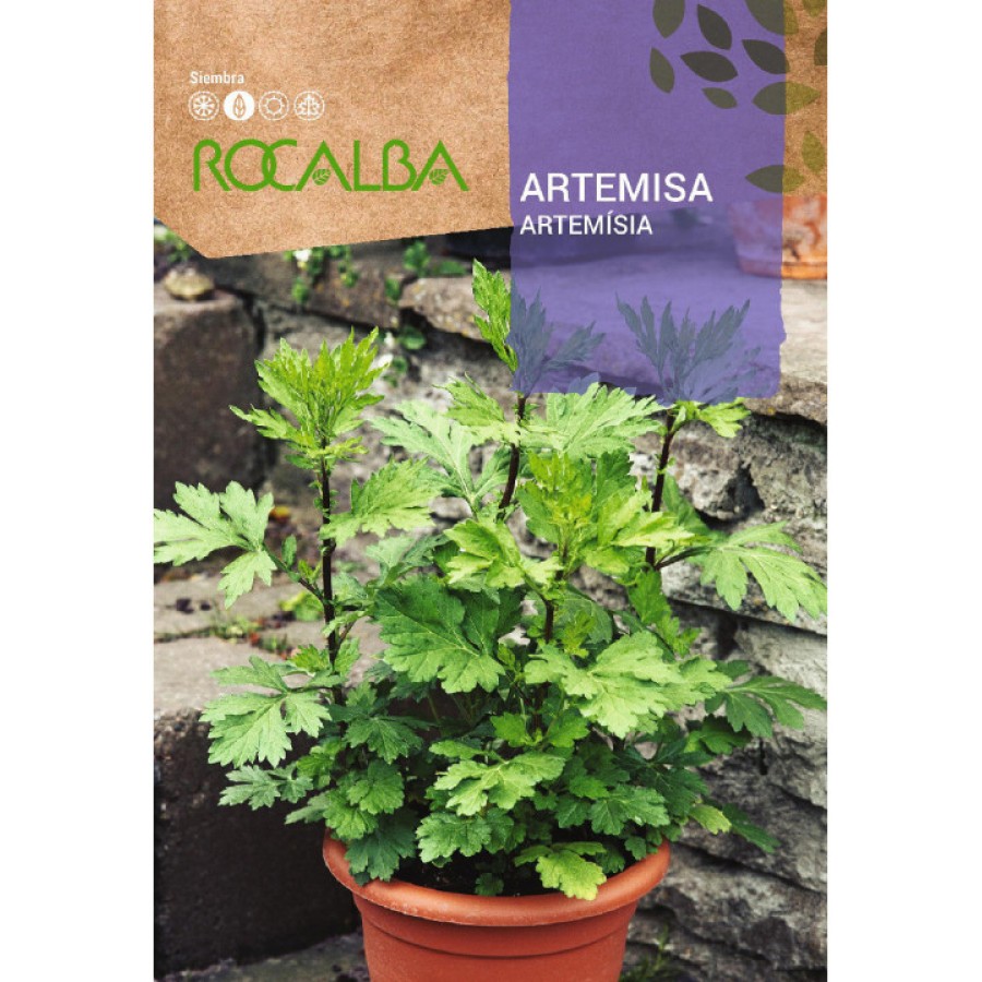 S.ARTEMISIA ROCALBA AROMATICA S.ARTEMISIA ROCALBA AROMATICA