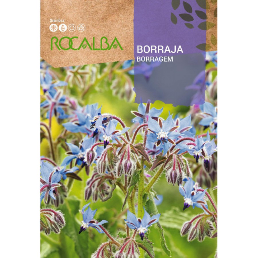 S.BORRAGEM ROCALBA