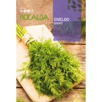 S.ENELDO ROCALBA S.ENELDO ROCALBA