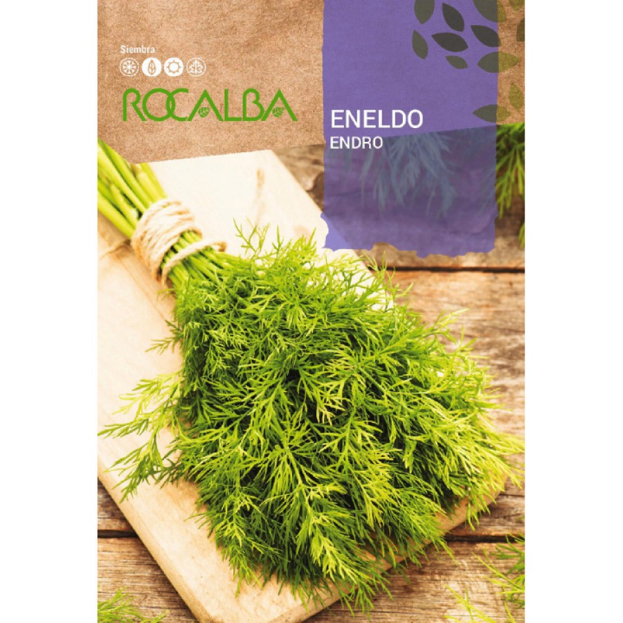 S.ENELDO ROCALBA S.ENELDO ROCALBA