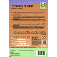 S.ROCALBA ESTRAGAO DA RUSSIA S.ROCALBA ESTRAGAO DA RUSSIA