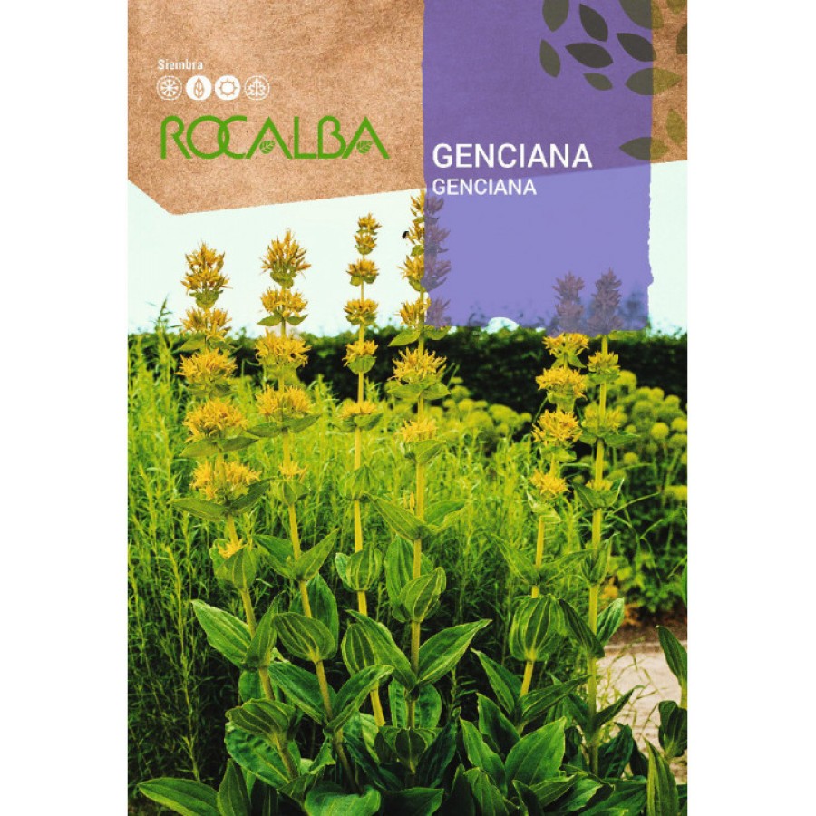 S.GENCIANA ROCALBA S.GENCIANA ROCALBA