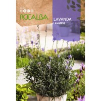 S.LAVANDA - ALFAZEMA ROCALBA S.LAVANDA - ALFAZEMA ROCALBA