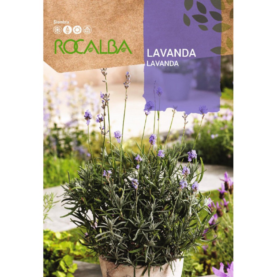 S.LAVANDA - ALFAZEMA ROCALBA S.LAVANDA - ALFAZEMA ROCALBA