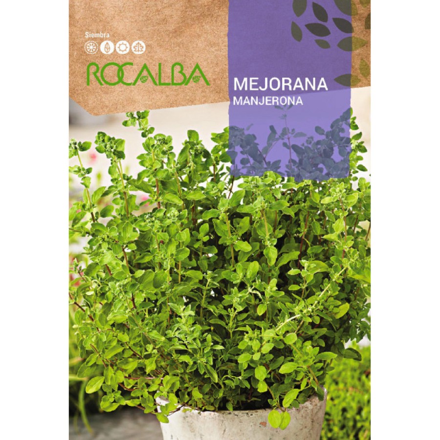 S.MANJERONA ROCALBA