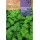 S.MENTA ROCALBA HORTELA FOLHA REDONDA