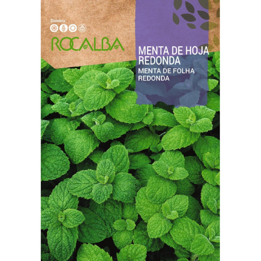 S.MENTA ROCALBA HORTELA FOLHA REDONDA S.MENTA ROCALBA HORTELA FOLHA REDONDA
