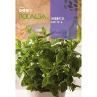 S.MENTA ROCALBA HORTELA MENTA