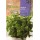 S.MENTA ROCALBA HORTELA MENTA